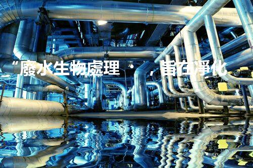 “廢水生物處理，旨在凈化水源，守護(hù)碧水藍(lán)天”